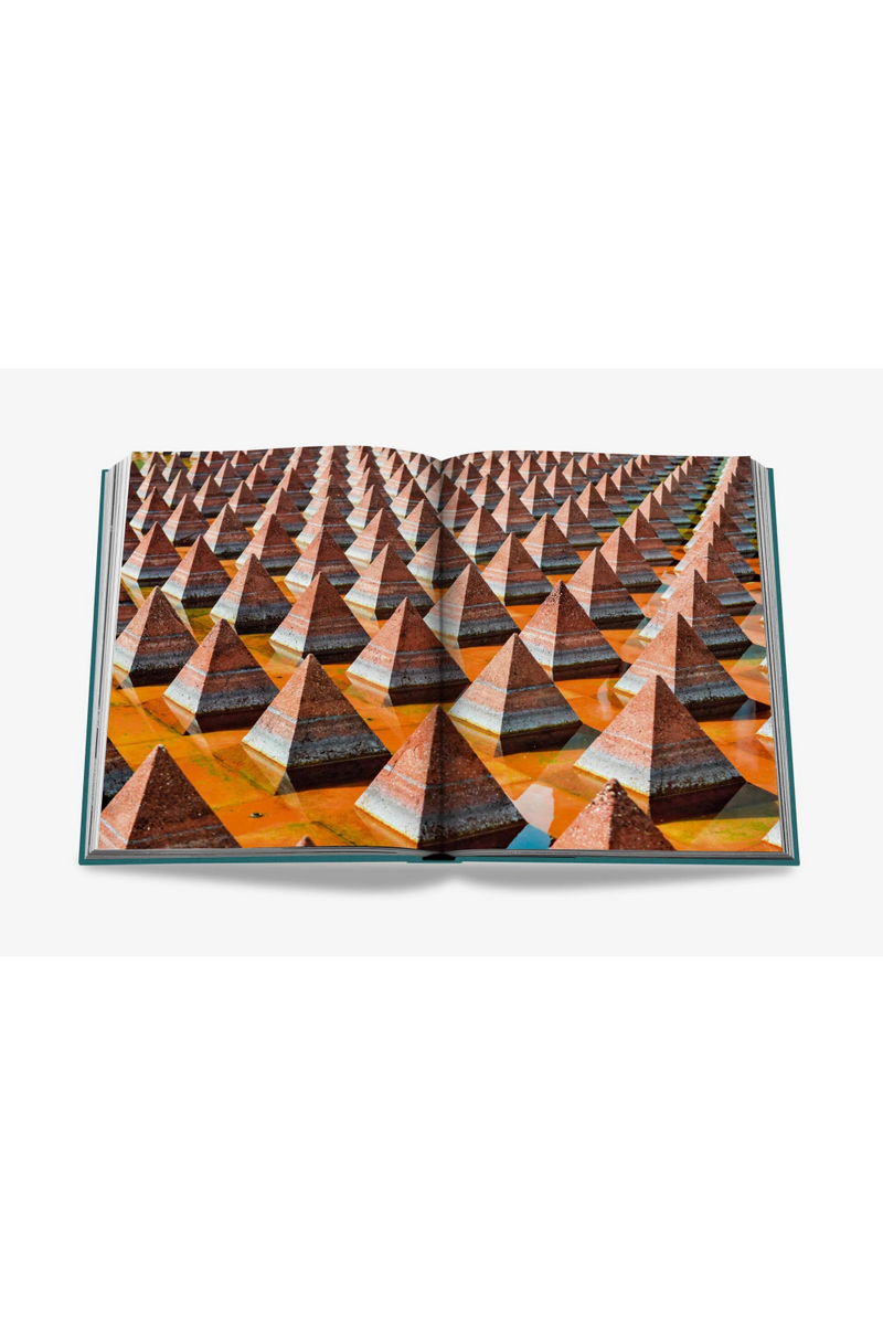 Mexico City Book | Assouline | Eichholtzmiami.com