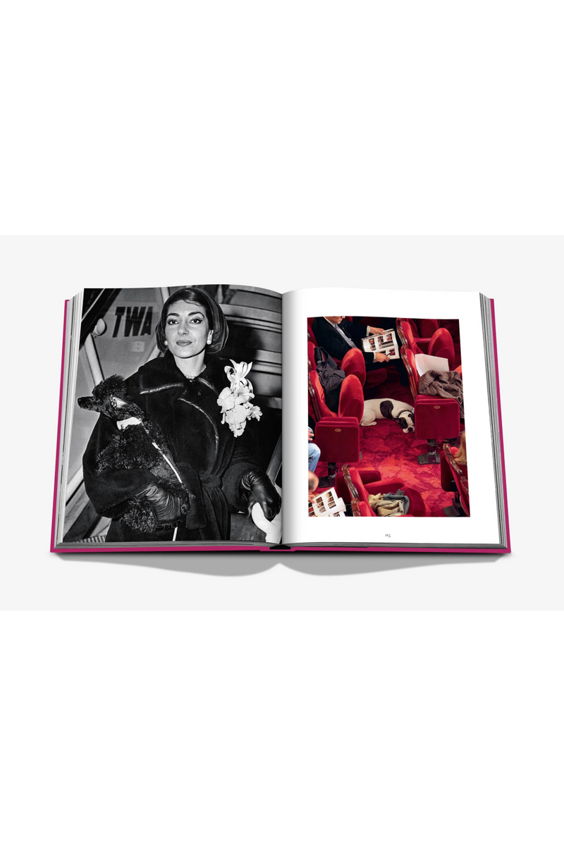 Chic Dogs Book | Assouline | EichholtzMiami.com