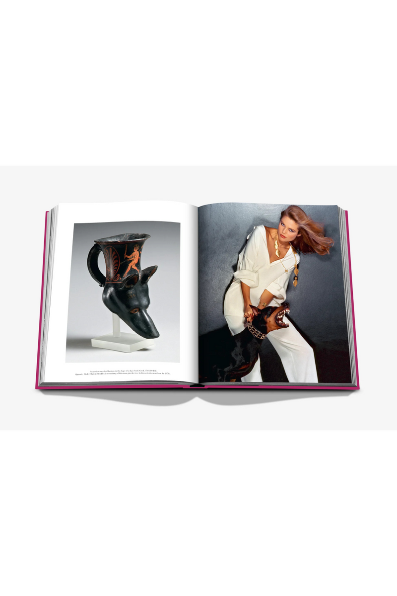 Chic Dogs Book | Assouline | EichholtzMiami.com