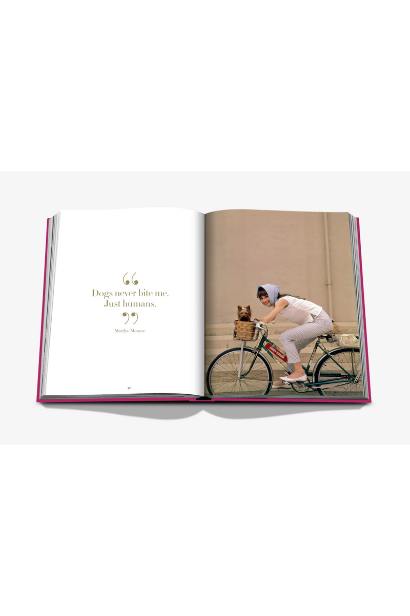 Chic Dogs Book | Assouline | EichholtzMiami.com