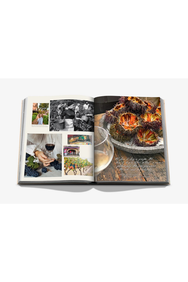 Wine & Travel France Book | Assouline | Eichholtzmiami.com