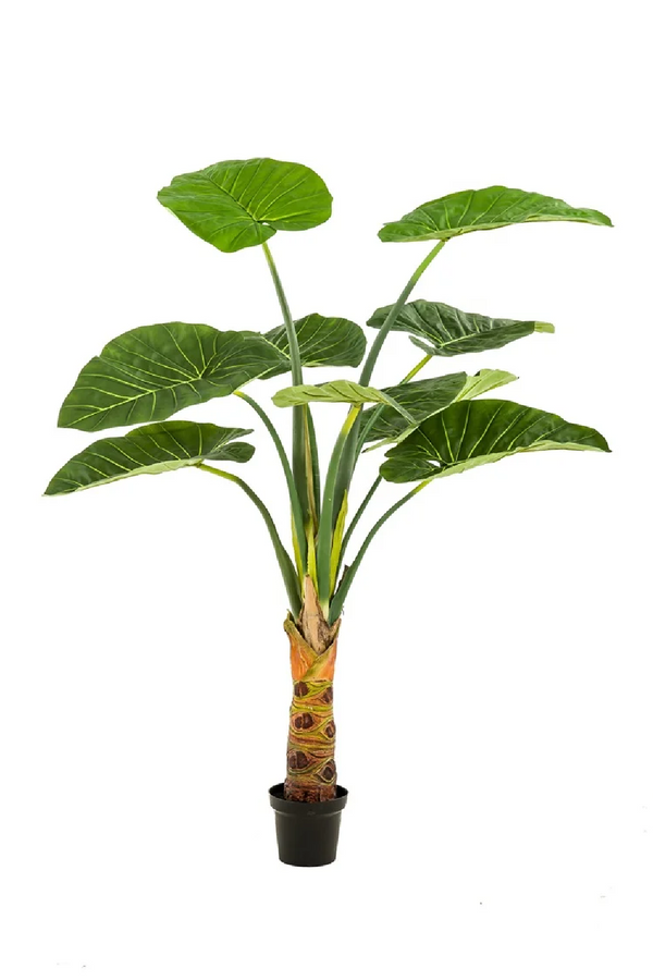 Broad-Leaved Faux Houseplants (2) | Emerald Alocasia | Eichholtzmiami.com