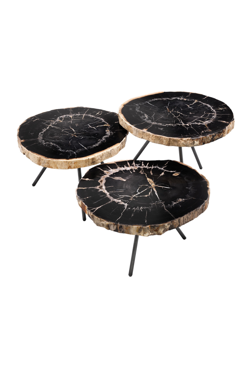 Petrified Wood Coffee Table Set | Eichholtz De Soto | Eichholtz Miami