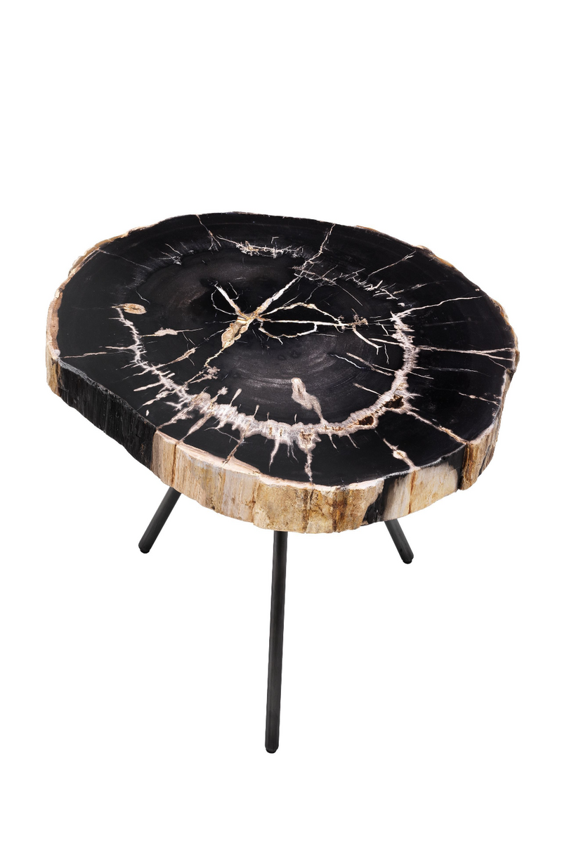 Petrified Wood Coffee Table Set | Eichholtz De Soto | Eichholtz Miami