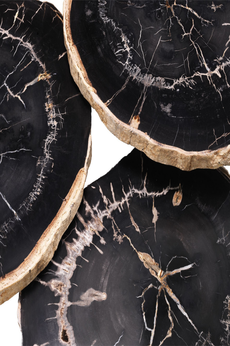 Petrified Wood Coffee Table Set | Eichholtz De Soto | Eichholtz Miami