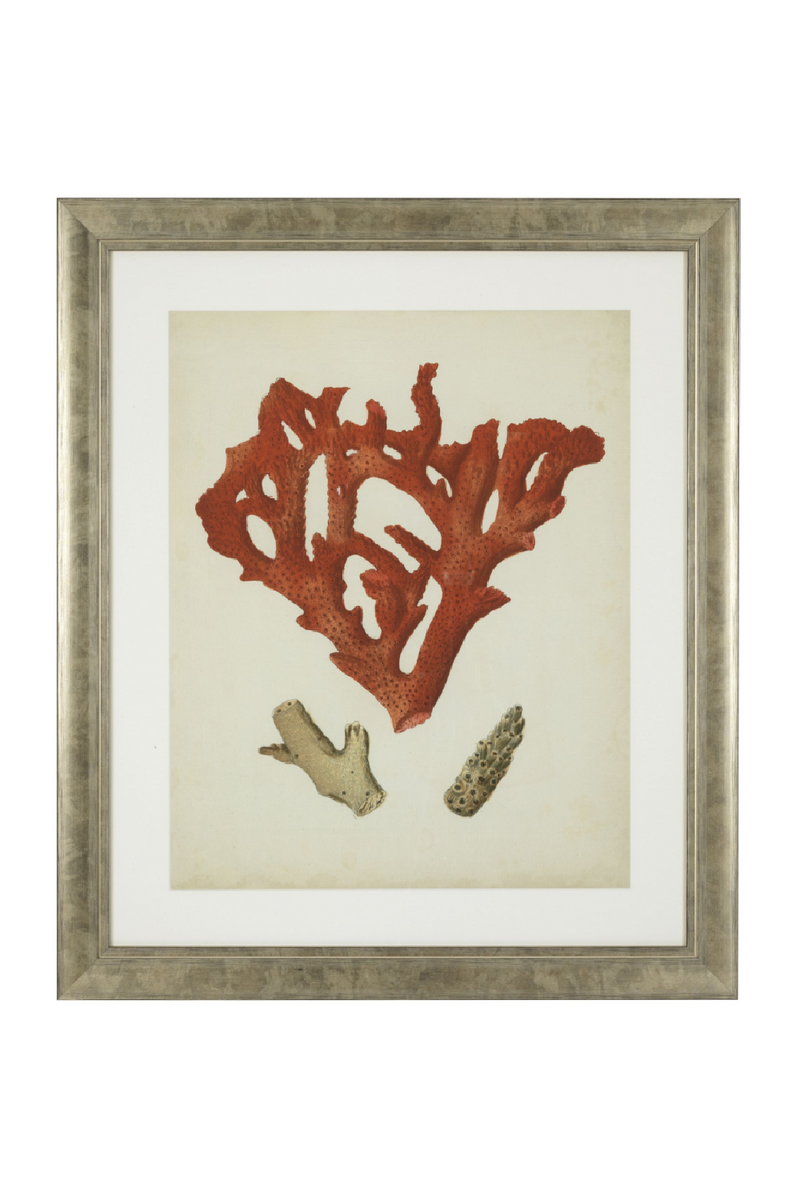 Coral Prints Set | Eichholtz Red Corals | Eichholtz Miami