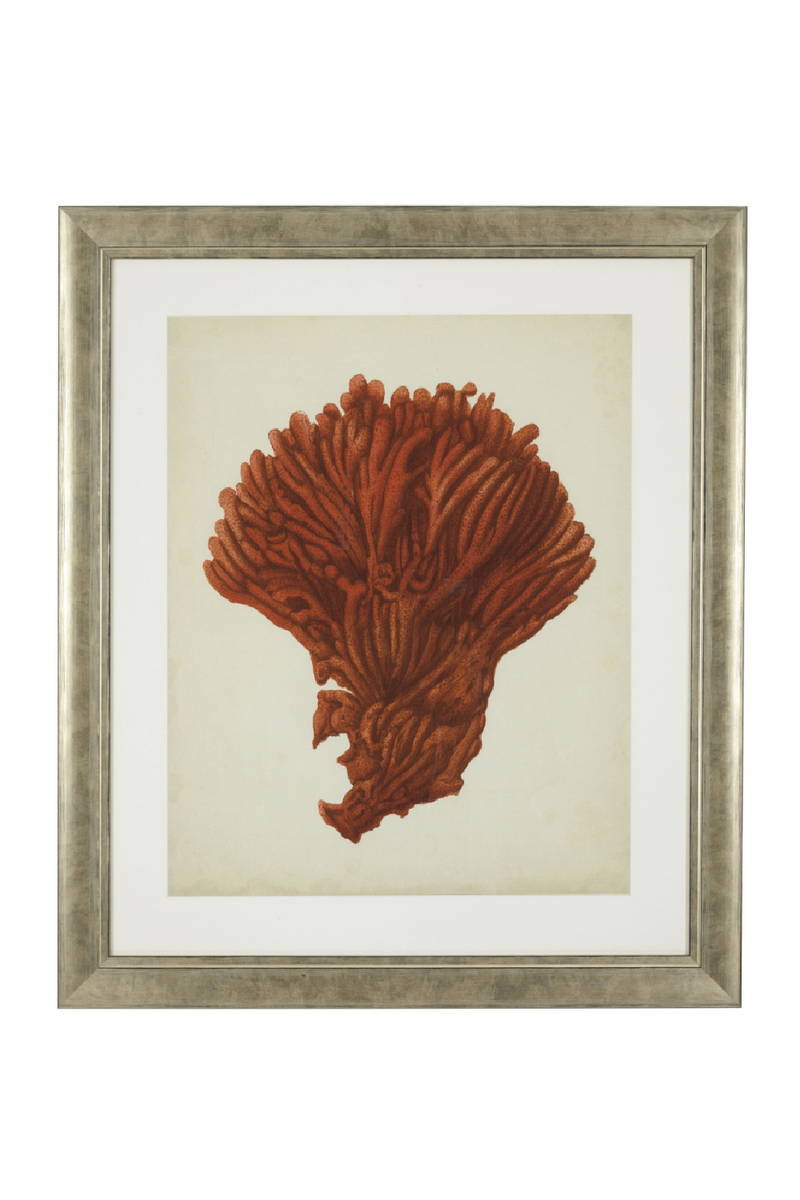 Coral Prints Set | Eichholtz Red Corals | Eichholtz Miami