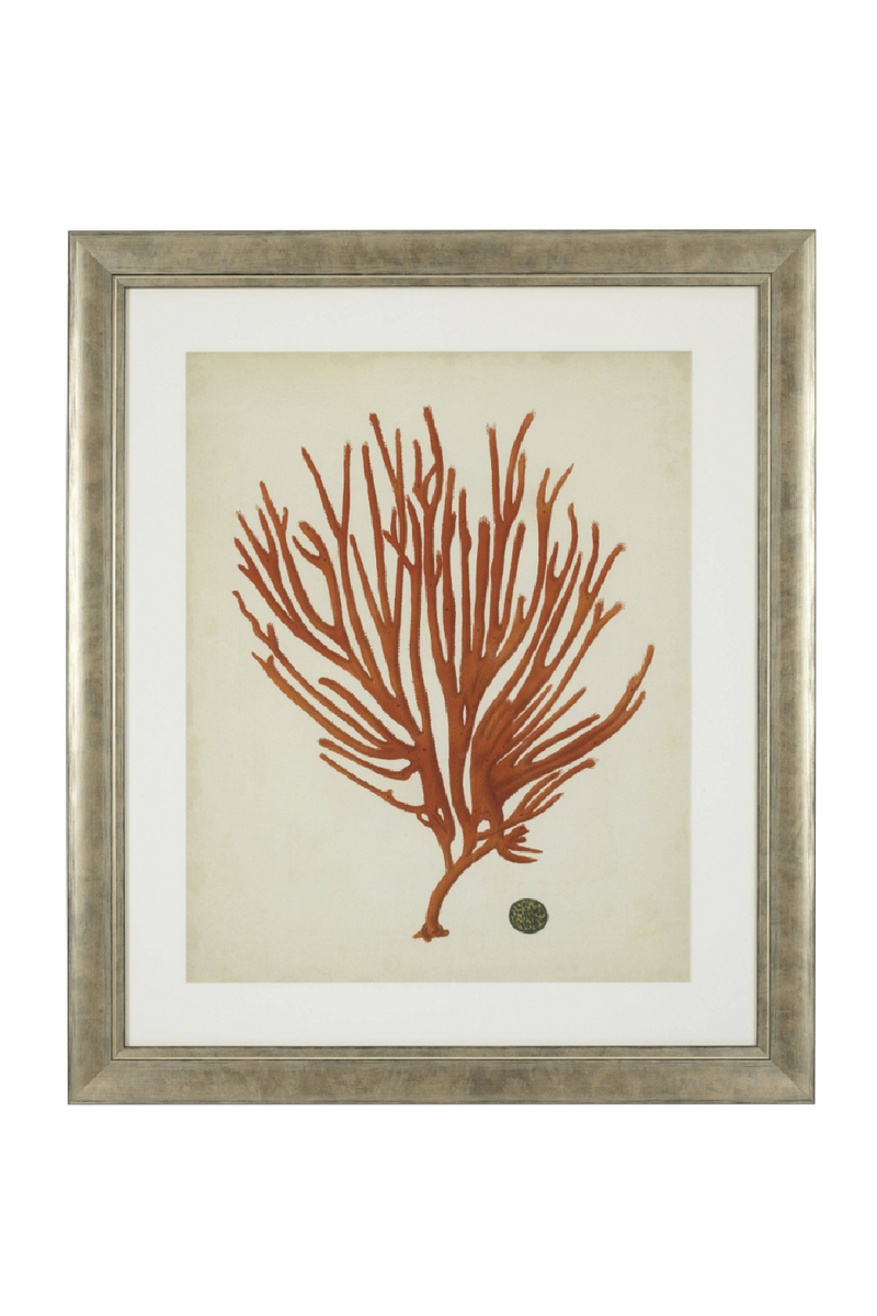 Coral Prints Set | Eichholtz Red Corals | Eichholtz Miami