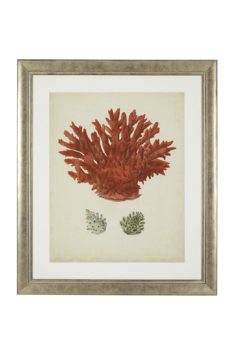 Coral Prints Set | Eichholtz Red Corals | Eichholtz Miami