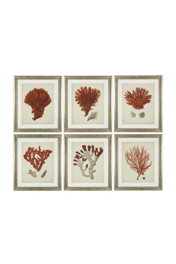 Coral Prints Set | Eichholtz Red Corals | Eichholtz Miami