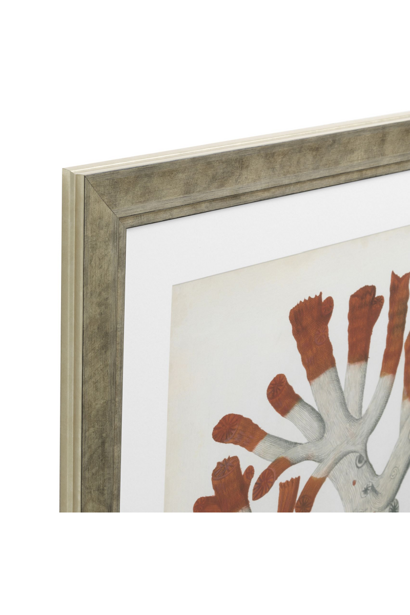 Coral Prints Set | Eichholtz Red Corals | Eichholtz Miami