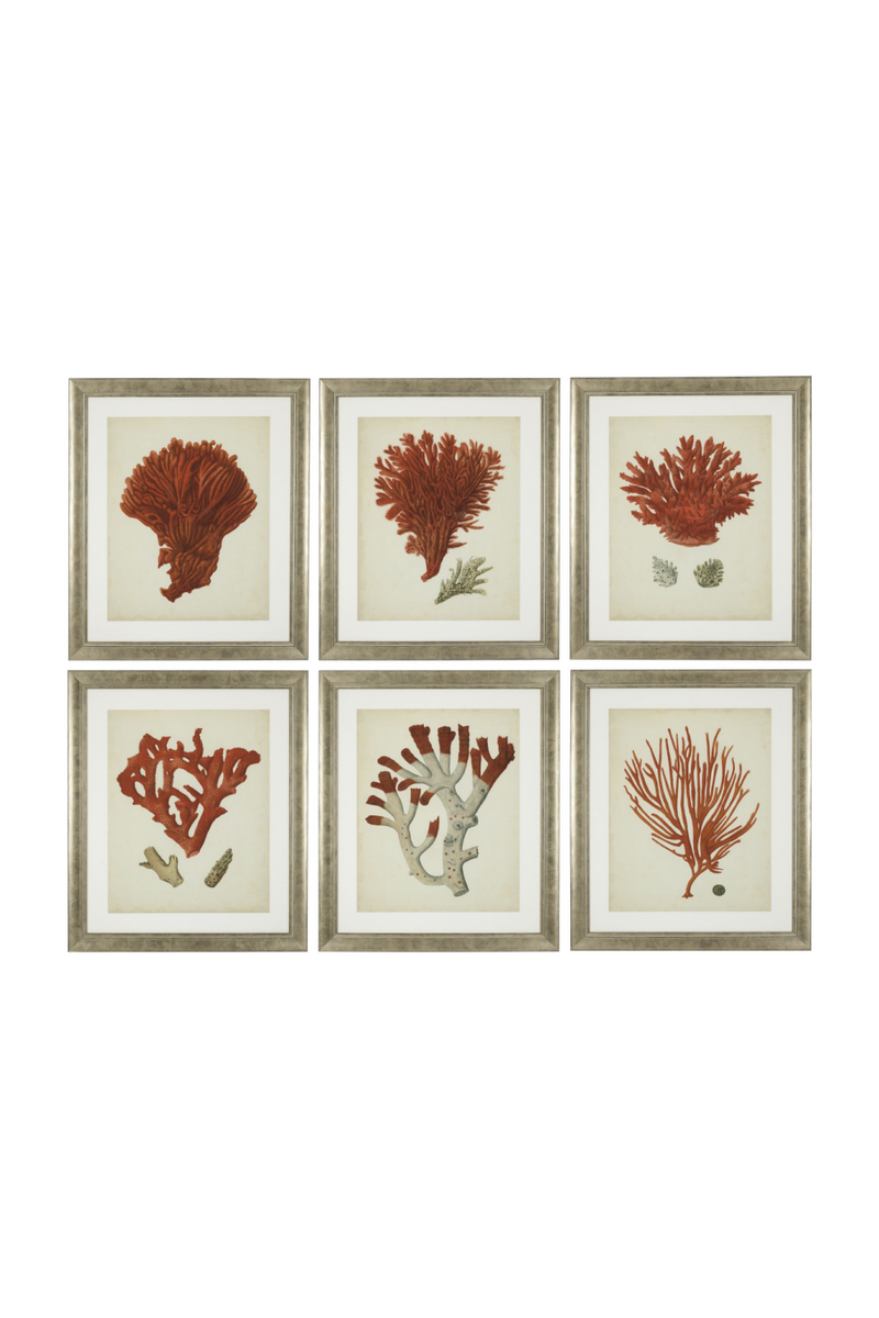 Coral Prints Set | Eichholtz Red Corals | Eichholtz Miami