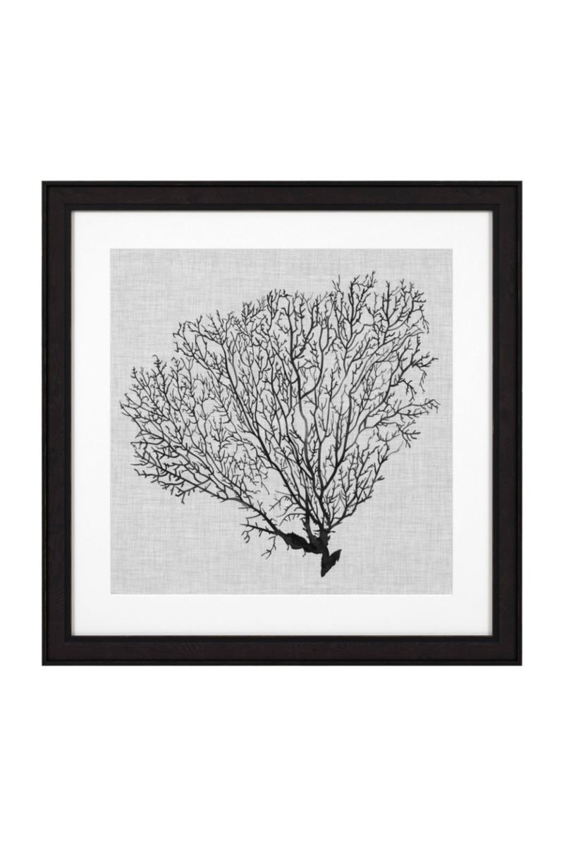 Coral Prints Set | Eichholtz Shadow Sea Fans | Eichholtz Miami