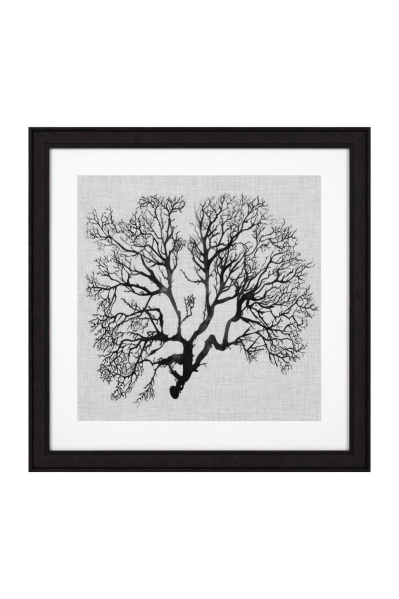 Coral Prints Set | Eichholtz Shadow Sea Fans | Eichholtz Miami