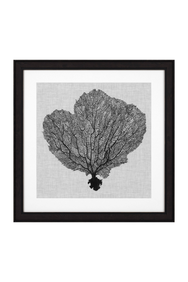 Coral Prints Set | Eichholtz Shadow Sea Fans | Eichholtz Miami