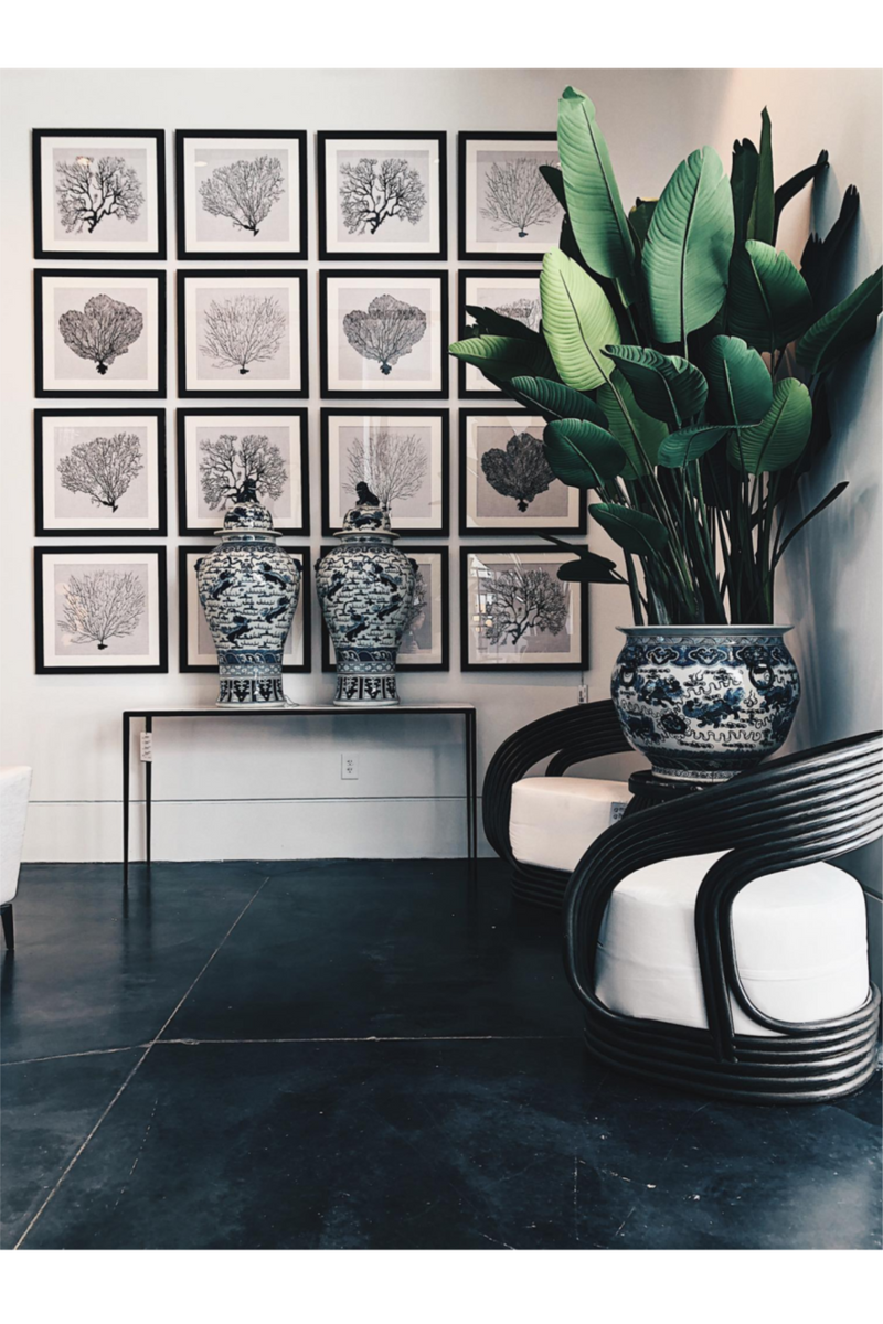 Coral Prints Set | Eichholtz Shadow Sea Fans | Eichholtz Miami