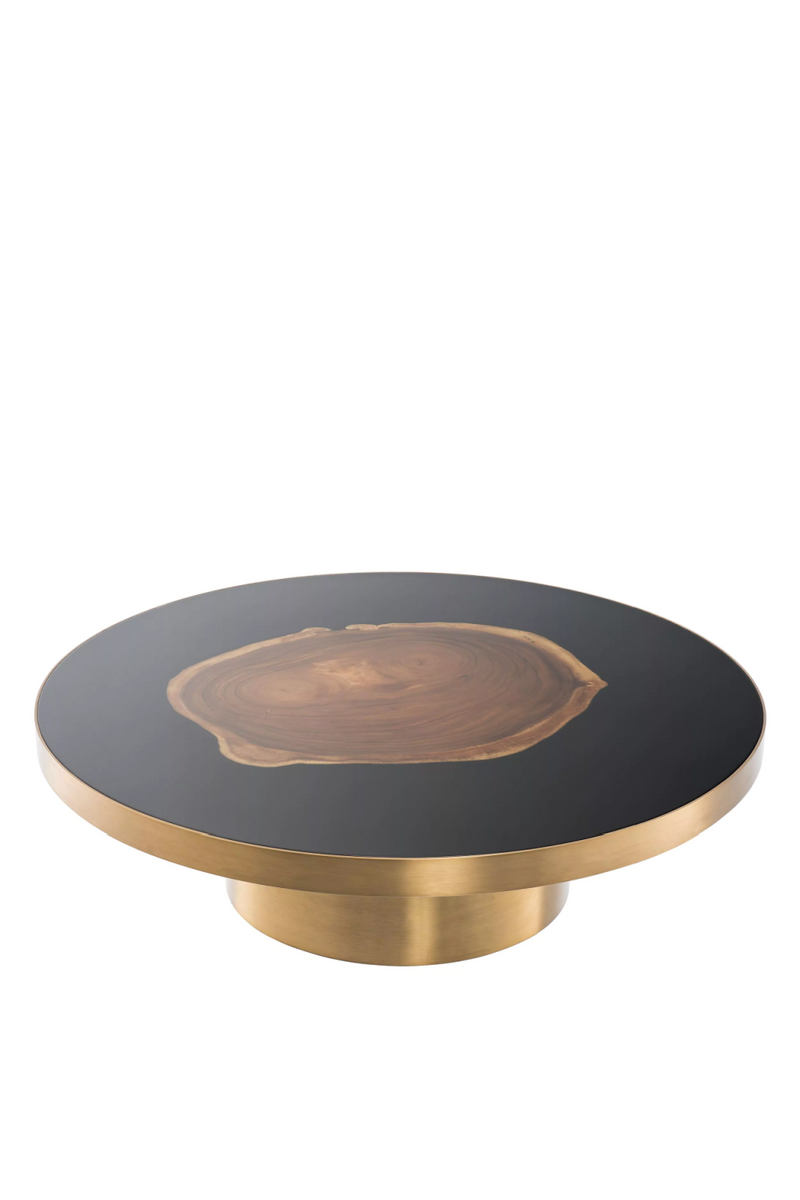 Golden Petrified Coffee Table | Eichholtz Concord | Eichholtz Miami