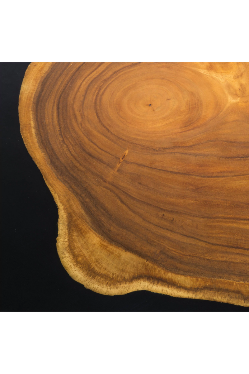 Golden Petrified Coffee Table | Eichholtz Concord | Eichholtz Miami
