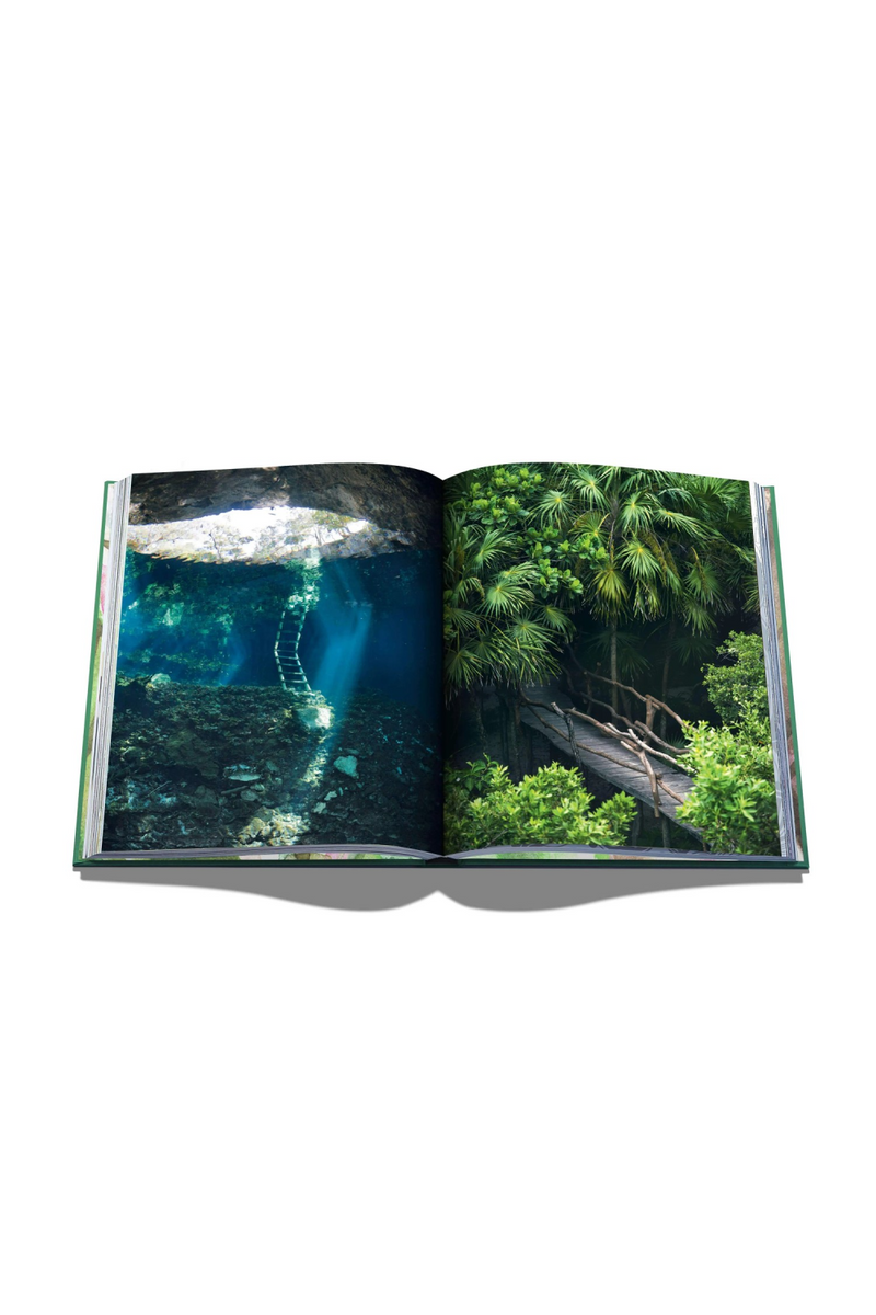 Tulum Gypset Book | Assouline | Eichholtzmiami.com