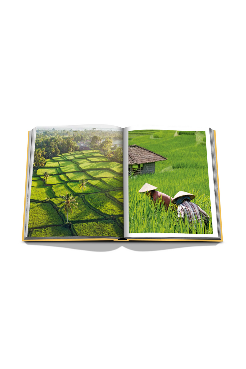 Bali Mystique Book | Assouline | Eichholtzmiami.com