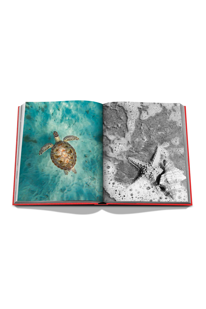 St. Barths Freedom Book | Assouline | Eichholtzmiami.com
