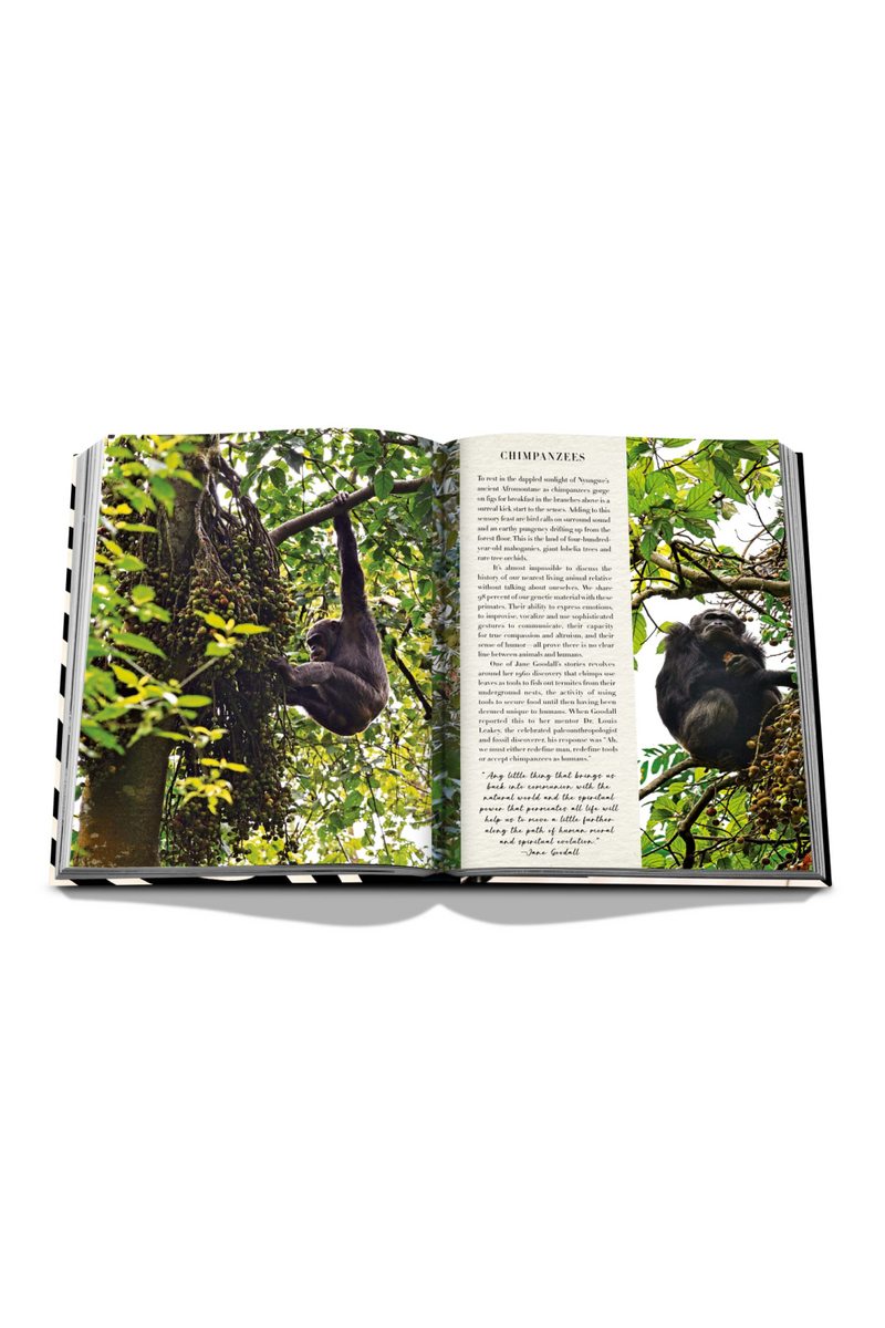African Adventures: The Greatest Safari on Earth Book | Assouline | Eichholtzmiami.com