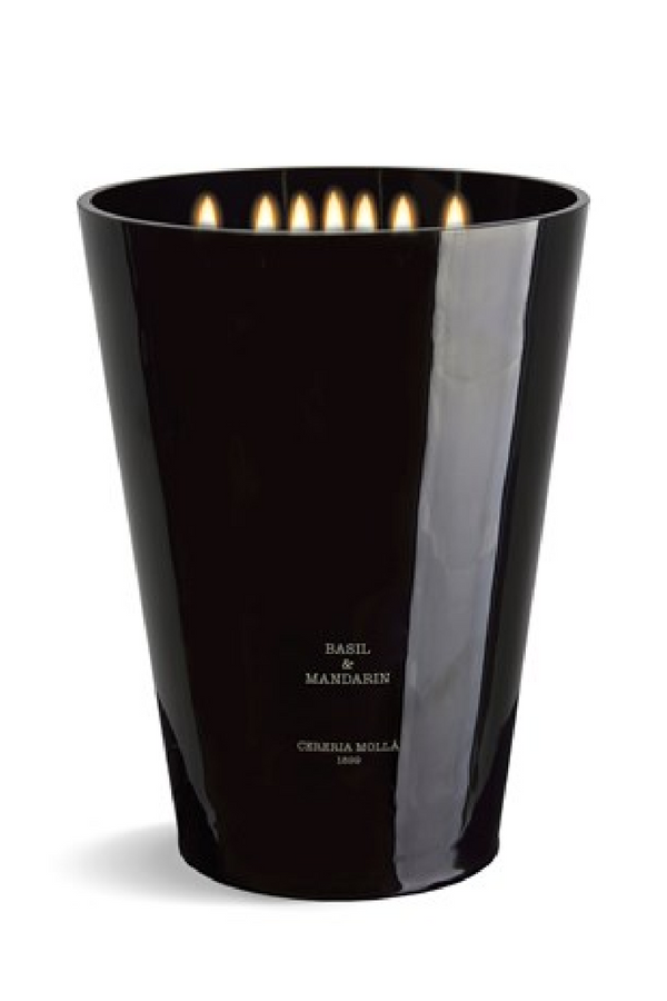Fruity Scented Candle 3XL | Cereria Mollá Basil & Mandarin | Eichholtzmiami.com
