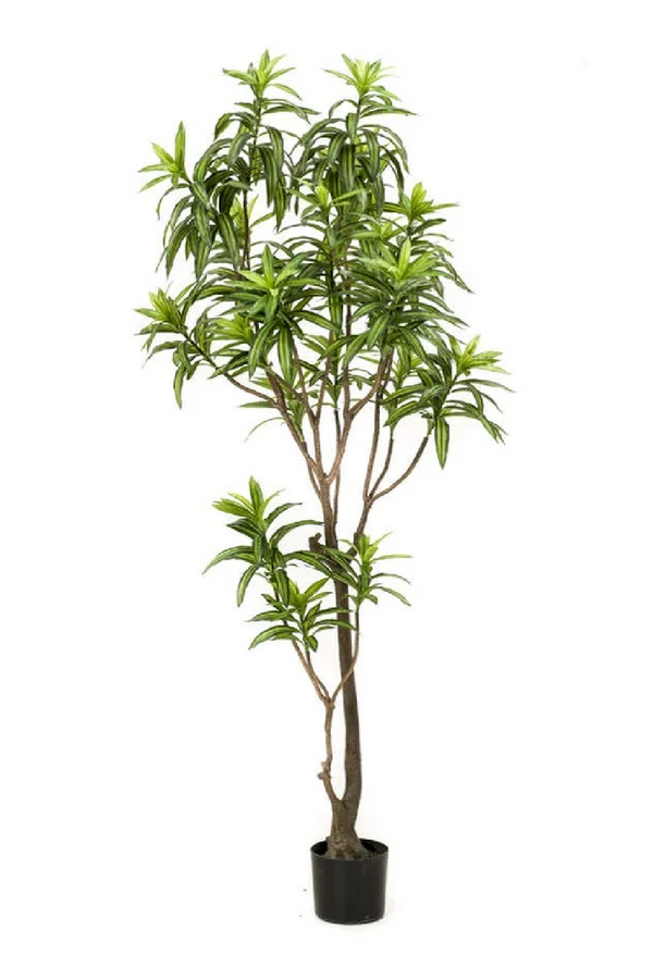 Artificial Potted Green Foliage Set (2) | Emerald Dracaena | Eichholtzmiami.com