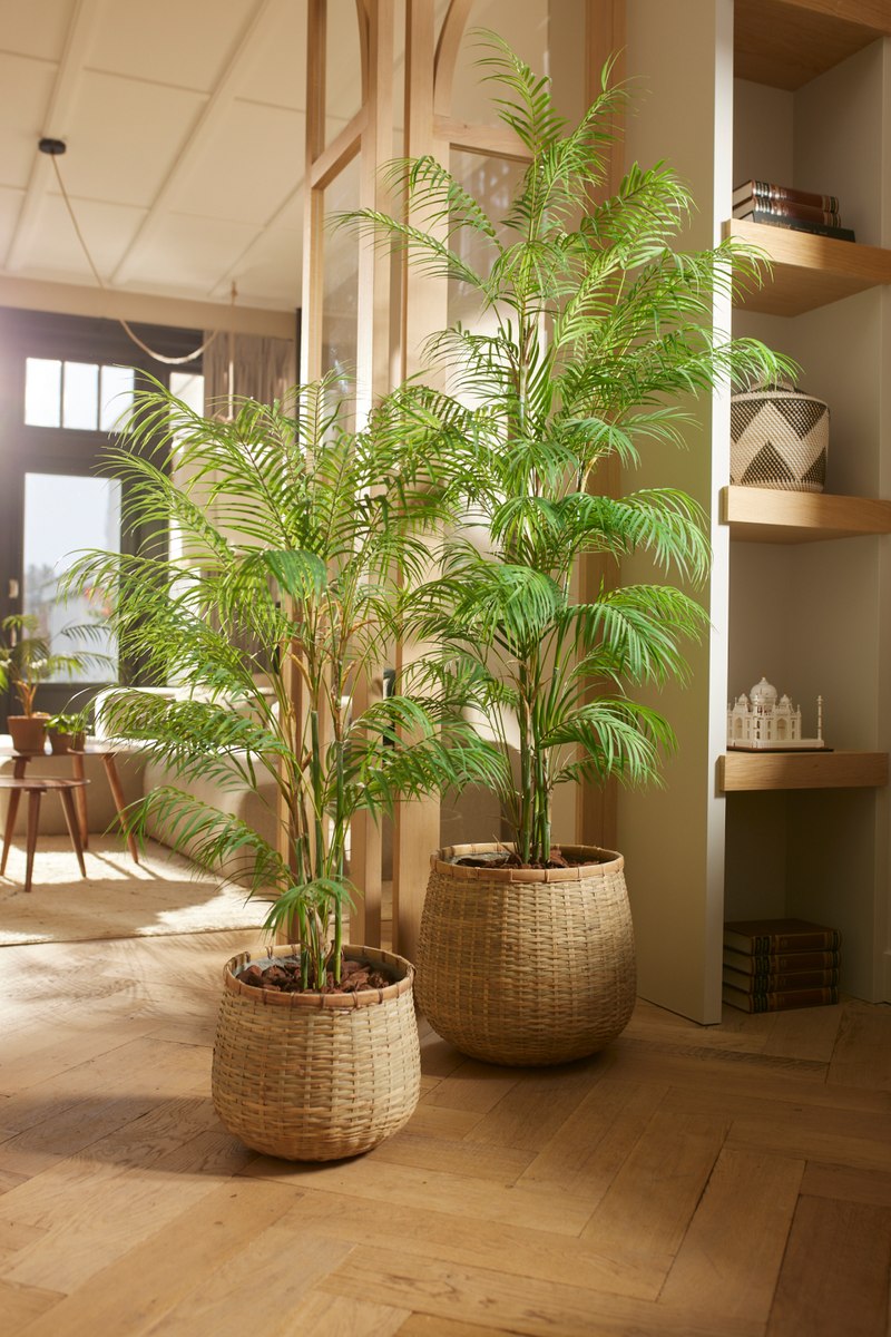 Potted Faux Palm Set (2) | Emerald Chamaedorea | Eichholtzmiami.com