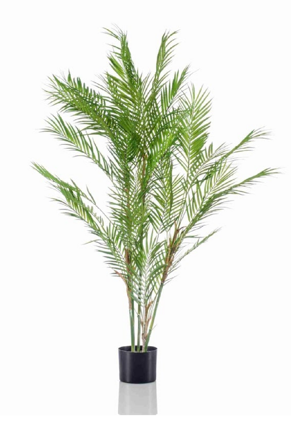 Potted Faux Palm Set (2) | Emerald Chamaedorea | Eichholtzmiami.com