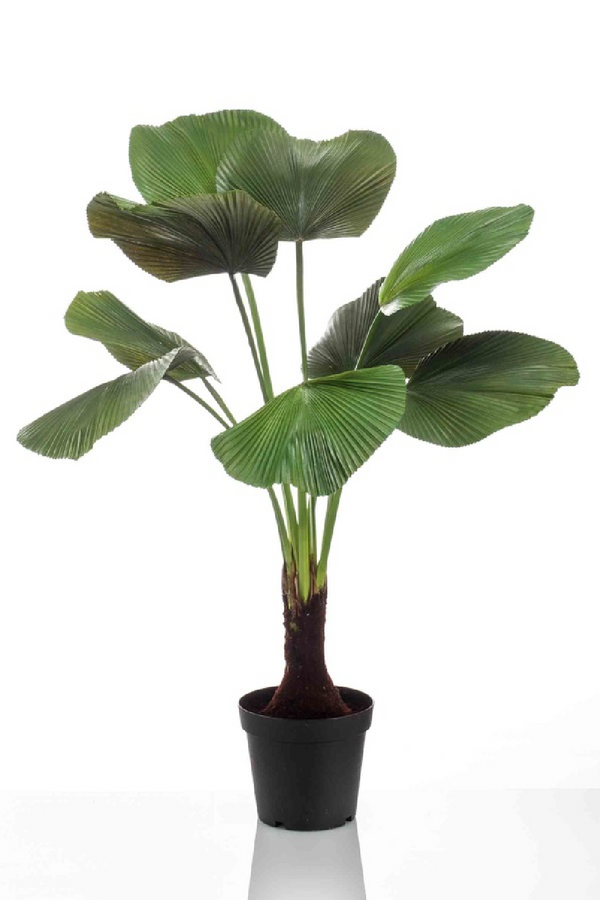 Faux Fan Palm Deco | Emerald Licuala | Eichholtzmiami.com