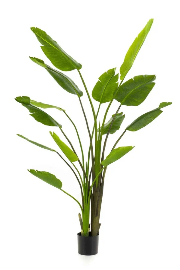 Faux Bird of Paradise Plant Set (2) | Emerald Strelitzia | Eichholtzmiami.com