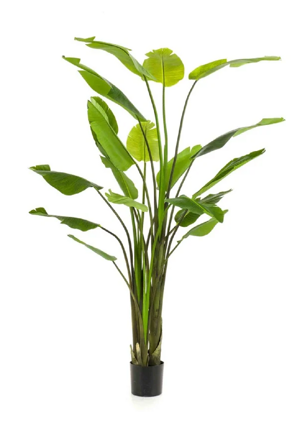 Faux Bird of Paradise Plant Set (2) | Emerald Strelitzia | Eichholtzmiami.com