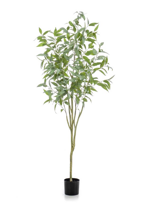 Blue Gum Faux Tree Set (2) | Emerald Eucalyptus Globulus | Eichholtzmiami.com