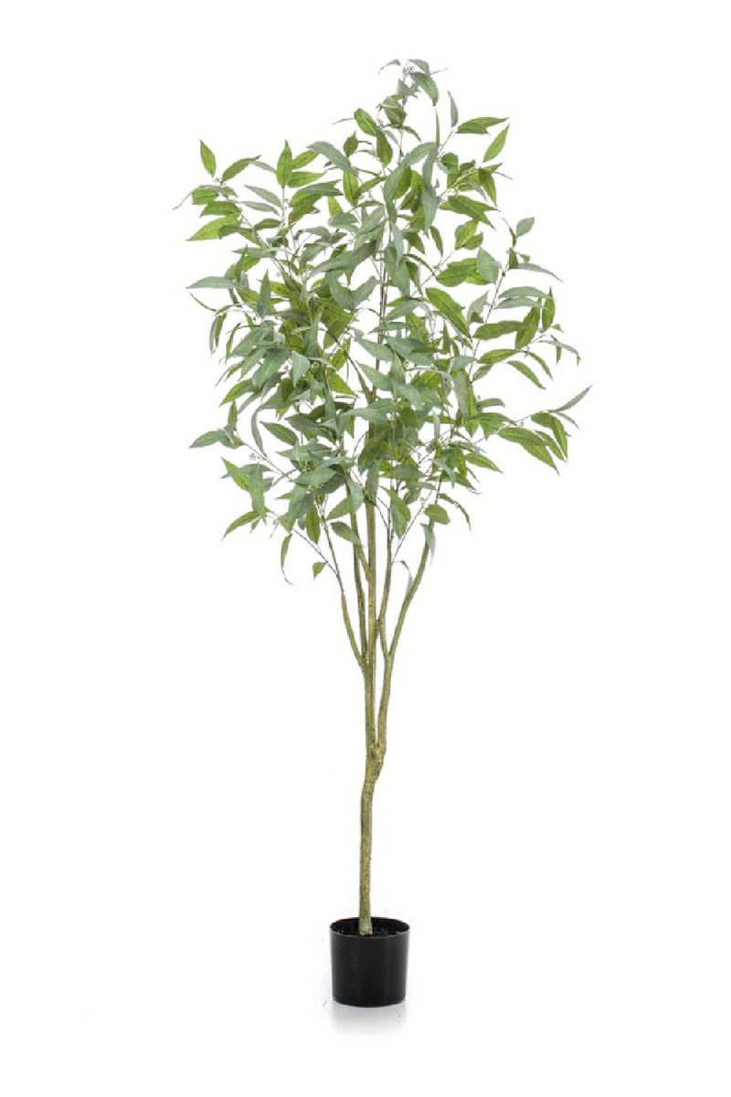 Blue Gum Faux Tree Set (2) | Emerald Eucalyptus Globulus | Eichholtzmiami.com