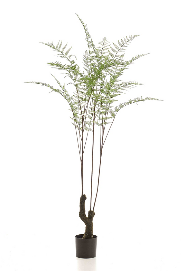 Decorative Potted Faux Plant Set (2) | Emerald Fern Forest On Trunk | Eichholtzmiami.com